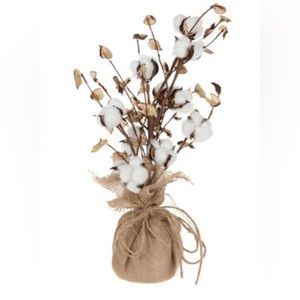 SOLDDDDDDBurlap Wrapped Cotton Trees